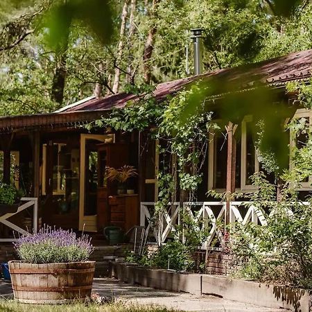 Forest Cottage With Lovely Garden & Sauna Doornspijk Luaran gambar