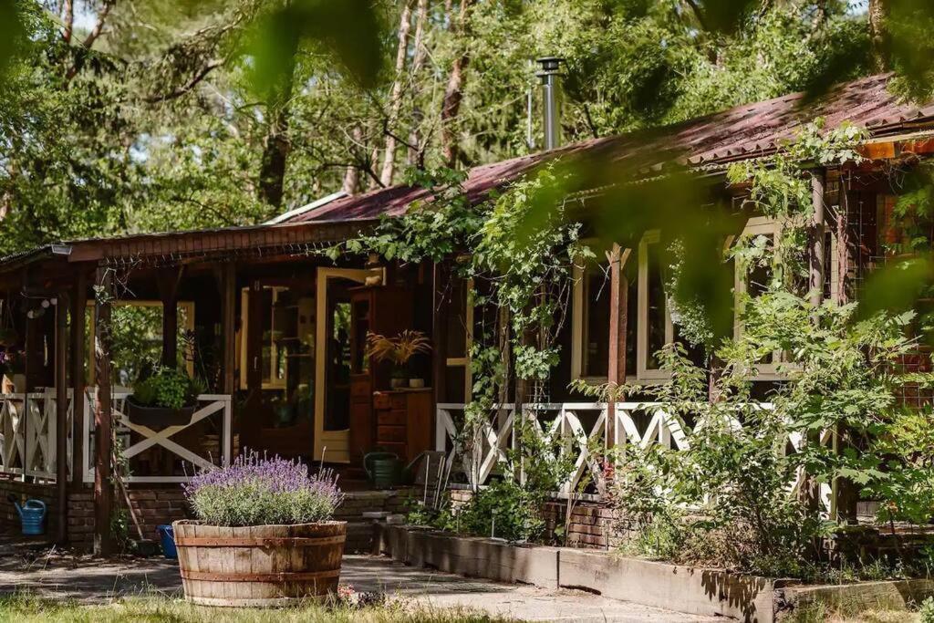 Forest Cottage With Lovely Garden & Sauna Doornspijk Luaran gambar