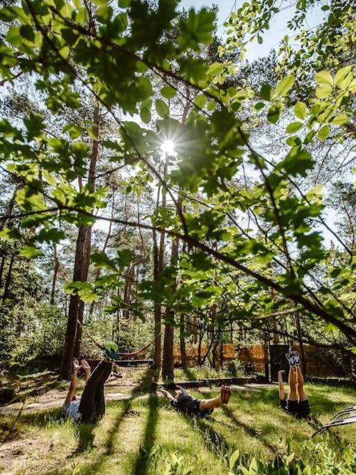 Forest Cottage With Lovely Garden & Sauna Doornspijk Luaran gambar