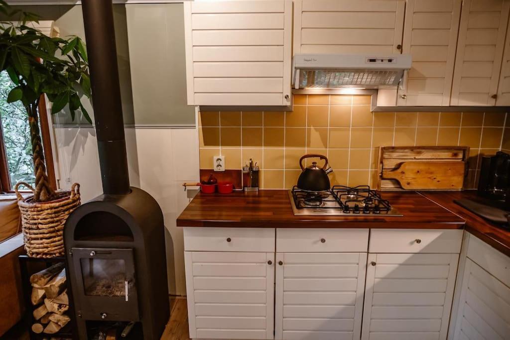 Forest Cottage With Lovely Garden & Sauna Doornspijk Luaran gambar