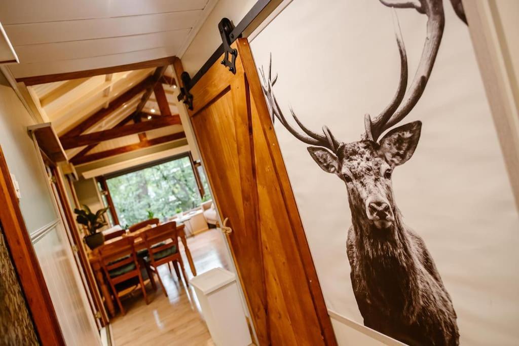 Forest Cottage With Lovely Garden & Sauna Doornspijk Luaran gambar