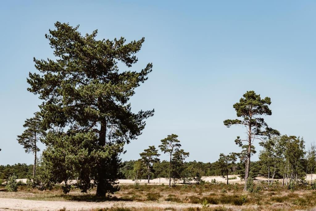 Forest Cottage With Lovely Garden & Sauna Doornspijk Luaran gambar