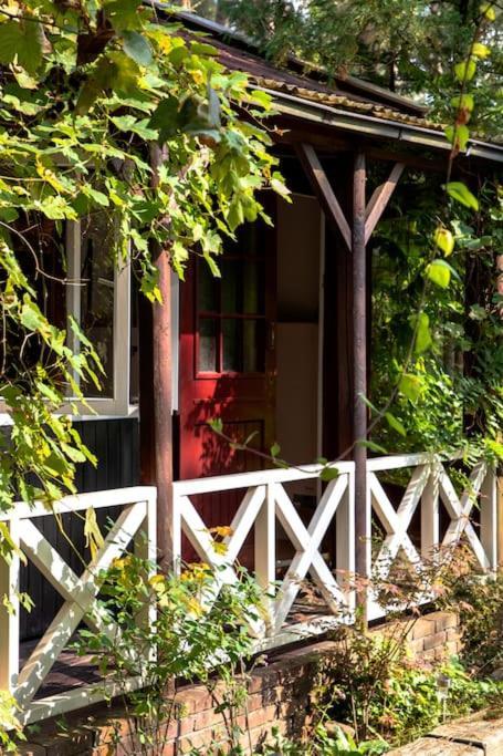 Forest Cottage With Lovely Garden & Sauna Doornspijk Luaran gambar